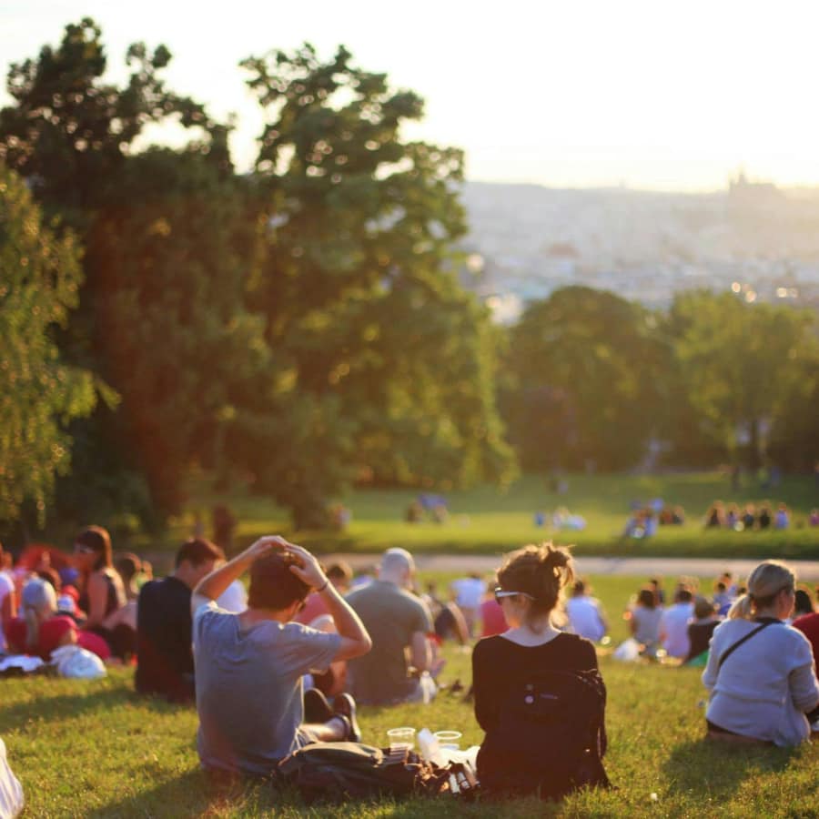 med-management-small